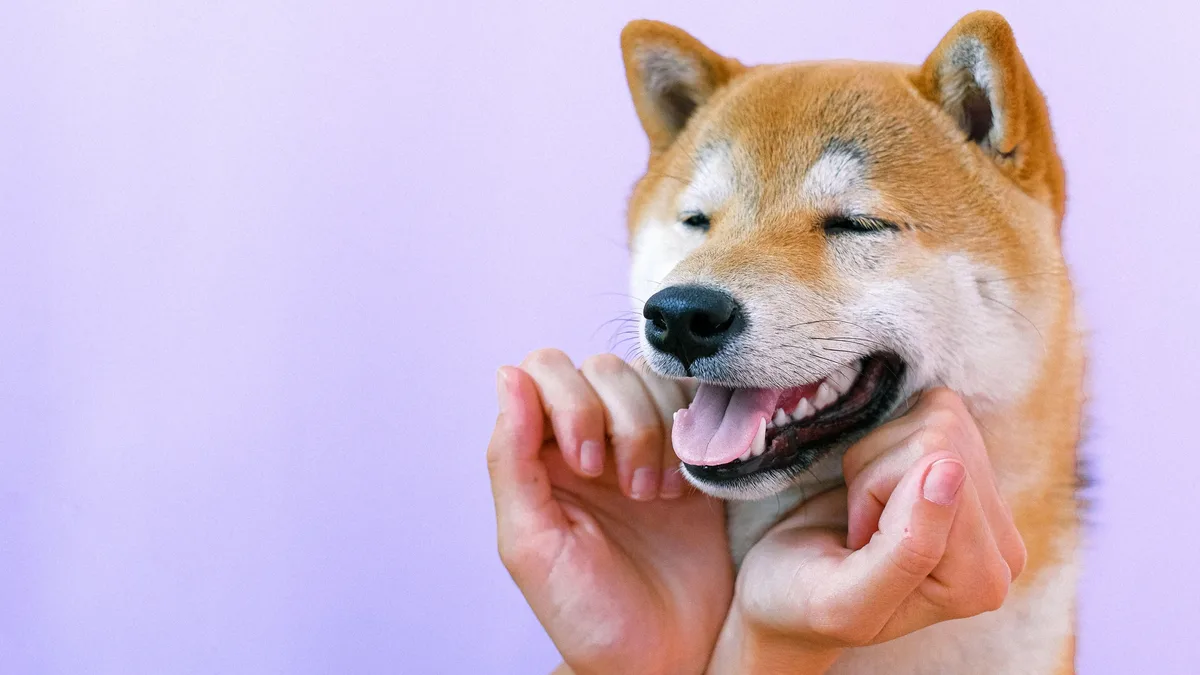 Animal Wellness Magazine details how dog owners can maintain healthy fascia through movement, stretching, and manual...