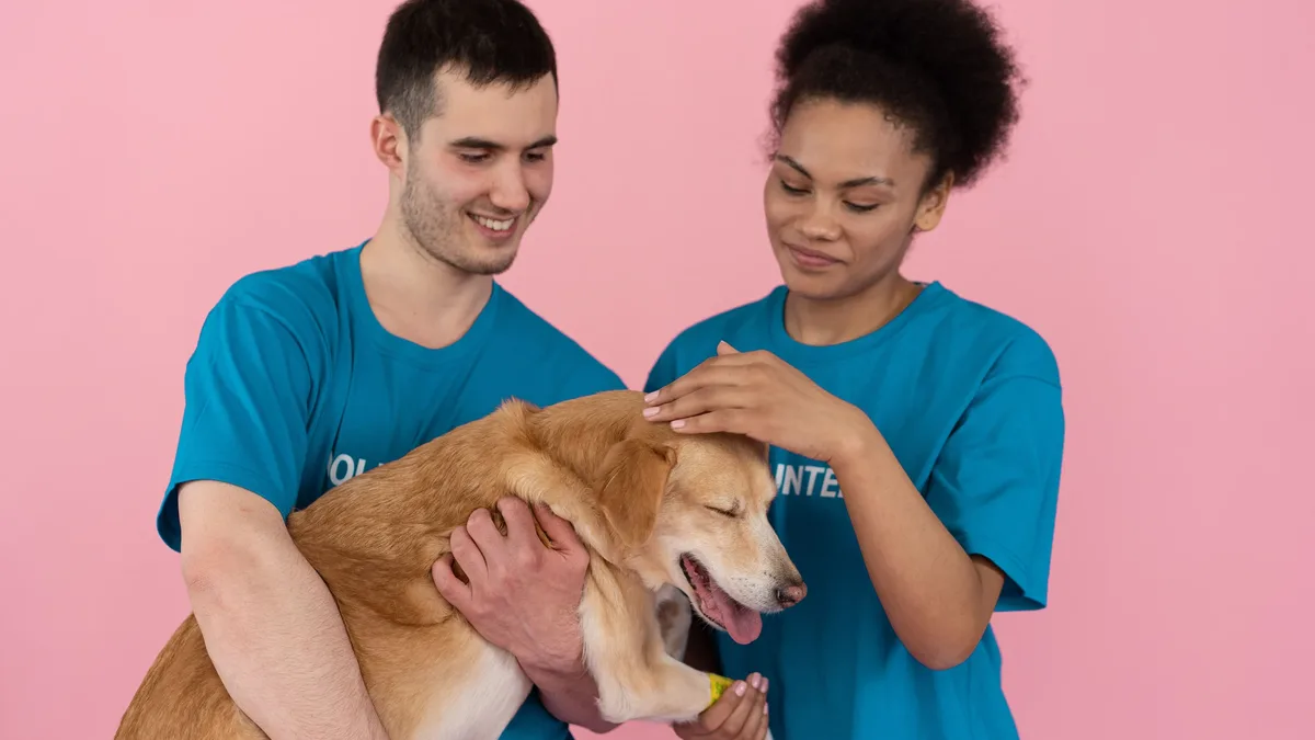 Years, a UK-based pet food company, has issued a voluntary recall of all its fresh dog meals after reports of dogs...