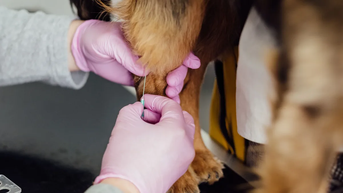 Veterinary professionals are recommending a combination of drug classes and non-drug therapies to manage pain more...