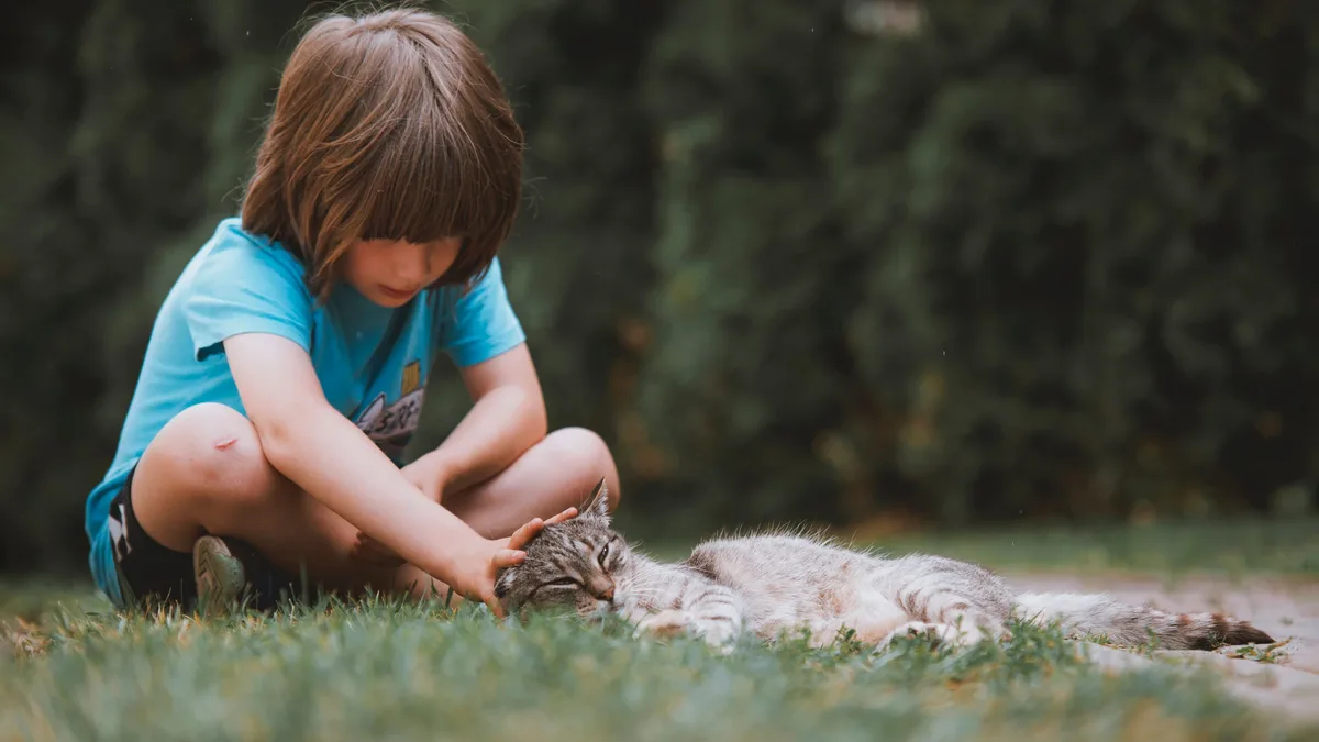 News: Veterinarians are no longer just doctors, but also businesspeople and marketers