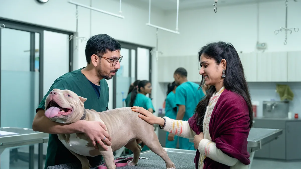 A recent 'rapid rounds' episode on The Resilient Vet outlines five scripts for veterinary professionals to say no without...