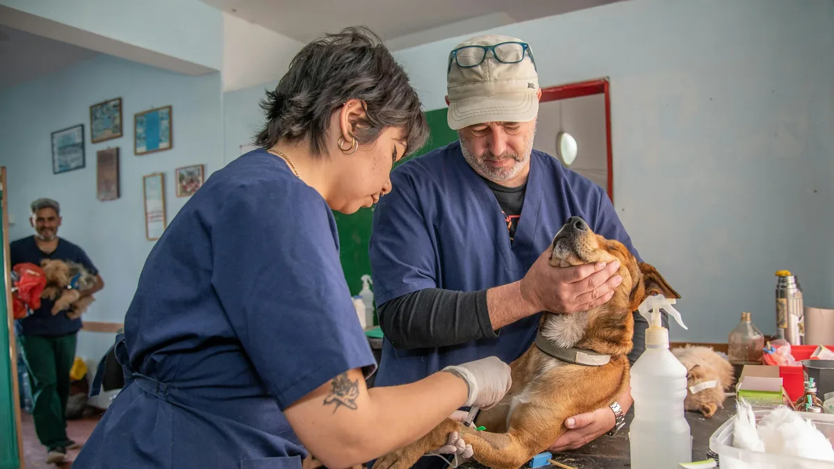 A veterinary social worker and an oncologist explain how social workers identify struggling pet owners, improve...