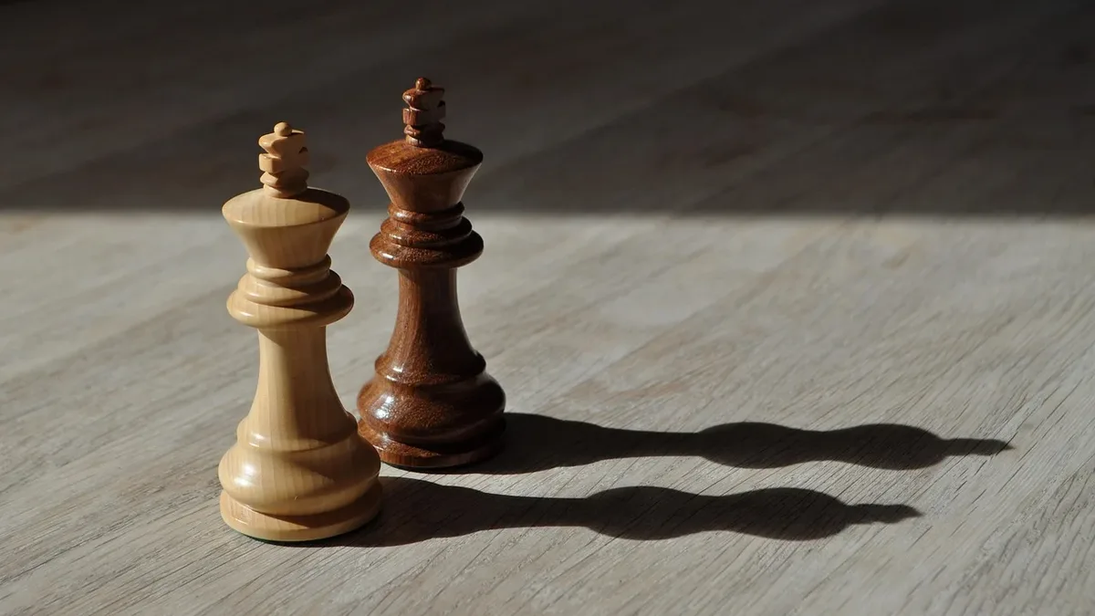 Teams: Chess, strategy, shadow, king, kings, game.