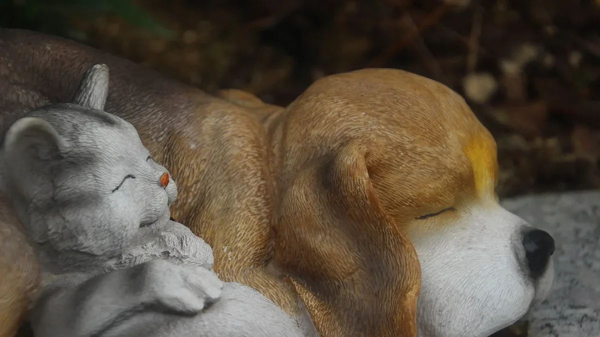 A kitten and a Golden Retriever, once wary strangers, became inseparable companions, as shown in an Instagram video from...