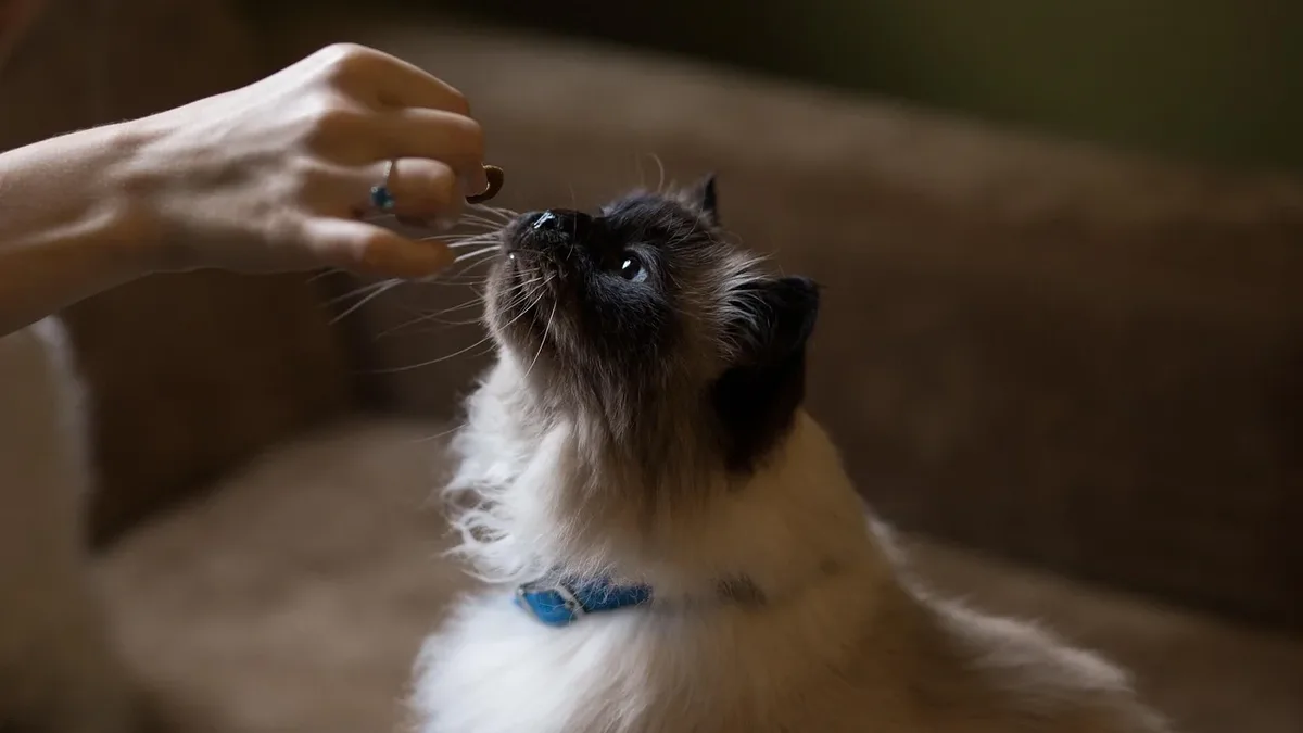 Feeding Care: An investigation of 100 top-selling cat foods found widespread contamination with lead, cadmium, and arsenic