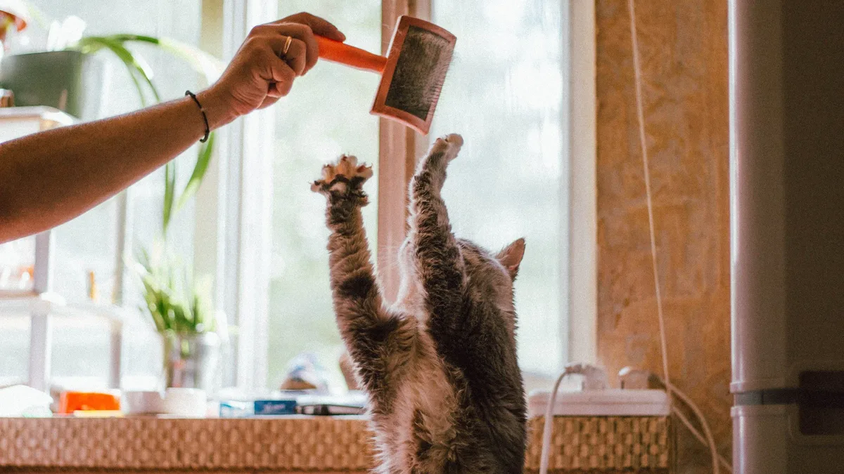 A viral video shows an orange cat named Venus refusing to accept that his doorframe toy is attached, launching a...