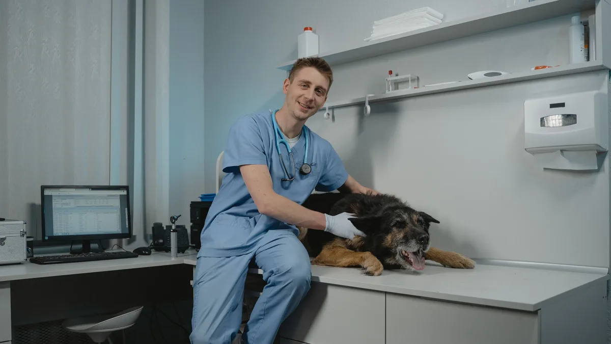 A veterinary mentor argues that structured clinical mentorship alone fails new graduates, whose deeper struggle is...
