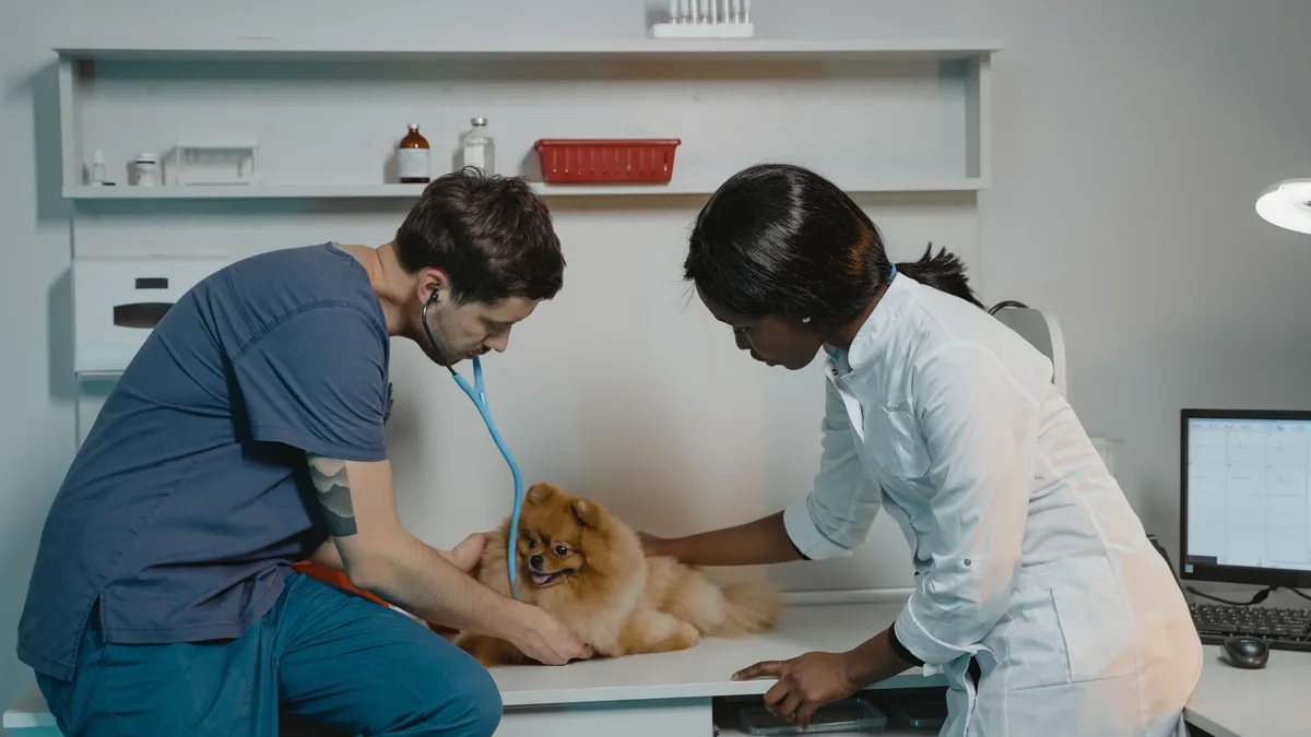Veterinary clinic visits have fallen for four consecutive years, with a 3.1% drop in 2025, as economic pressures lead pet...