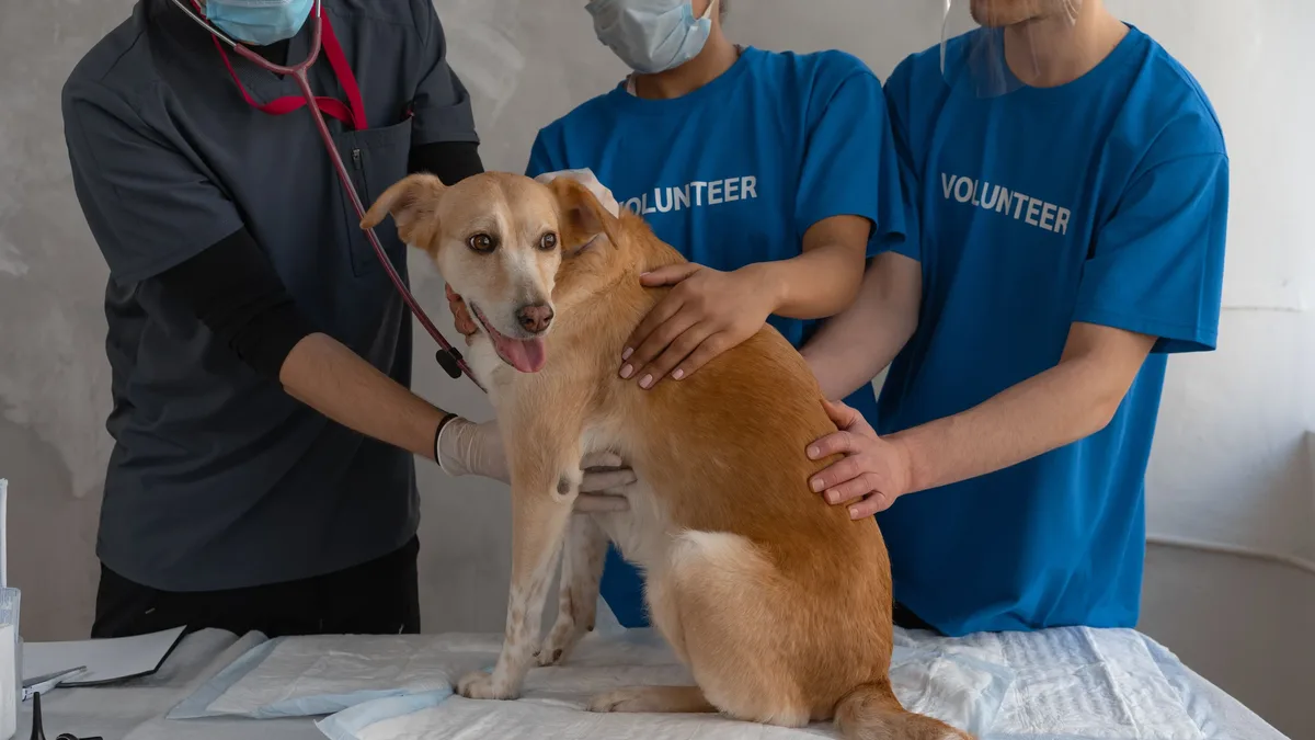The UC Davis School of Veterinary Medicine has reappointed Dean Mark Stetter to a second five-year term and appointed...