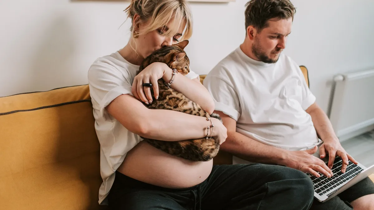 A veterinarian explains the low probability of indoor cats transmitting Toxoplasma gondii to pregnant owners, detailing...