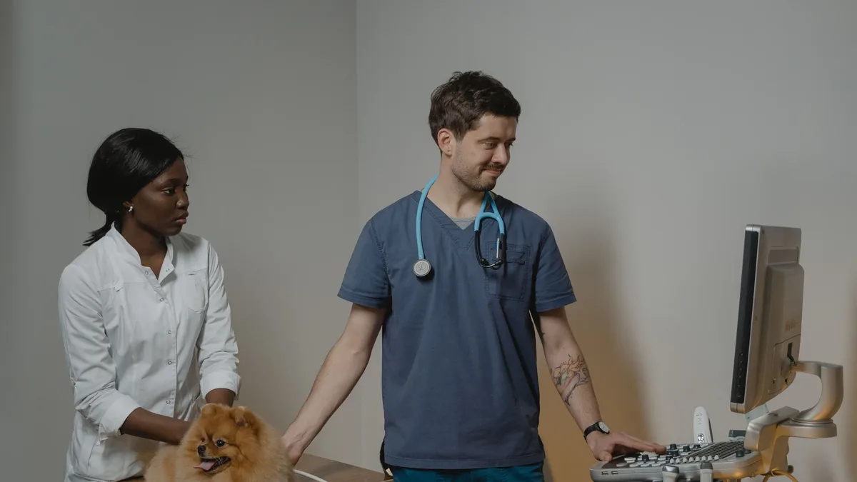 Dr. Peter Weinstein details a three-phase system for veterinary hospitals to build and retain a strong team, covering...