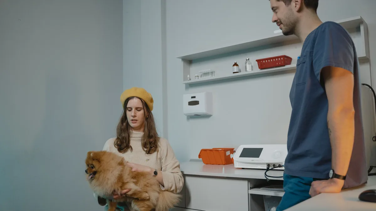 Enfermedades: Veterinary Licensure Ensures Competence
