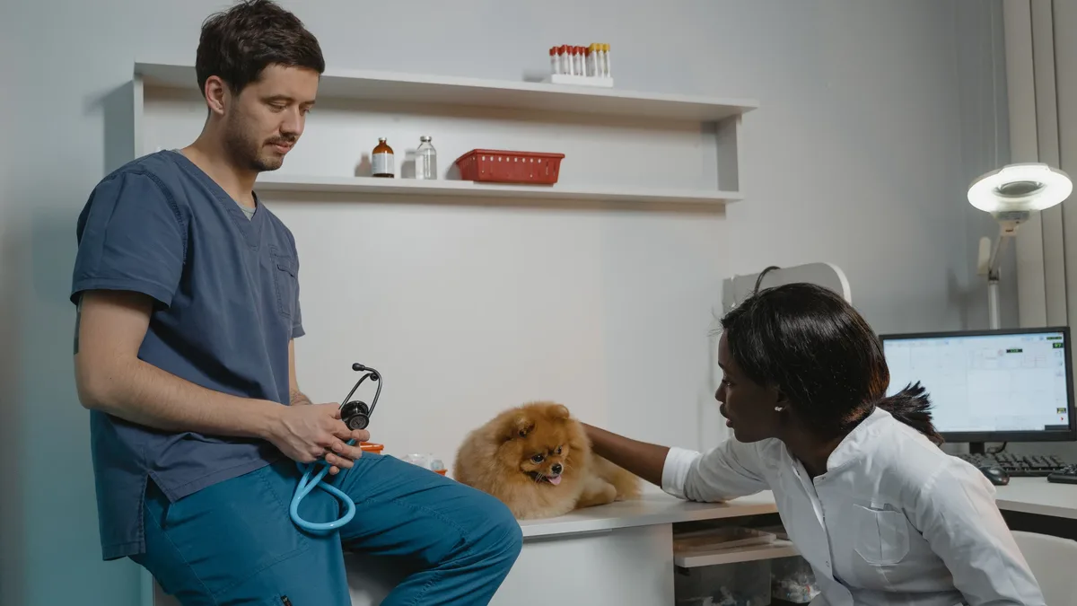 A veterinary technician expert outlines a structured team-based triage system for clinics, emphasizing rapid assessment...
