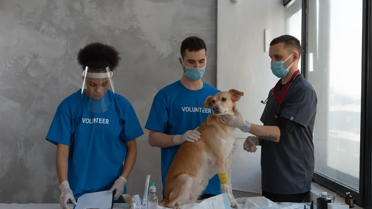 The World Small Animal Veterinary Association invites member groups to share stories of successful local projects for...