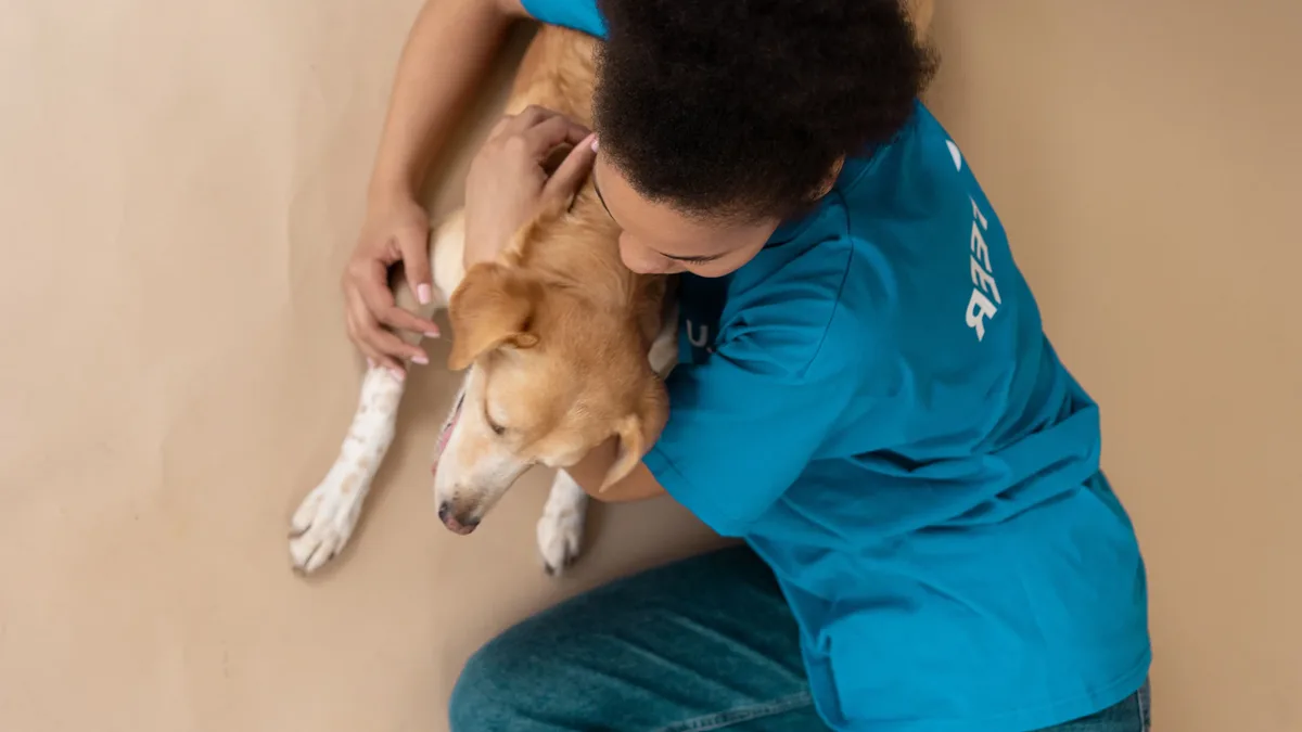 Breeds: Blondie, a Pit Bull mix prolapse, was filmed being hugged by a worker on Aug 26