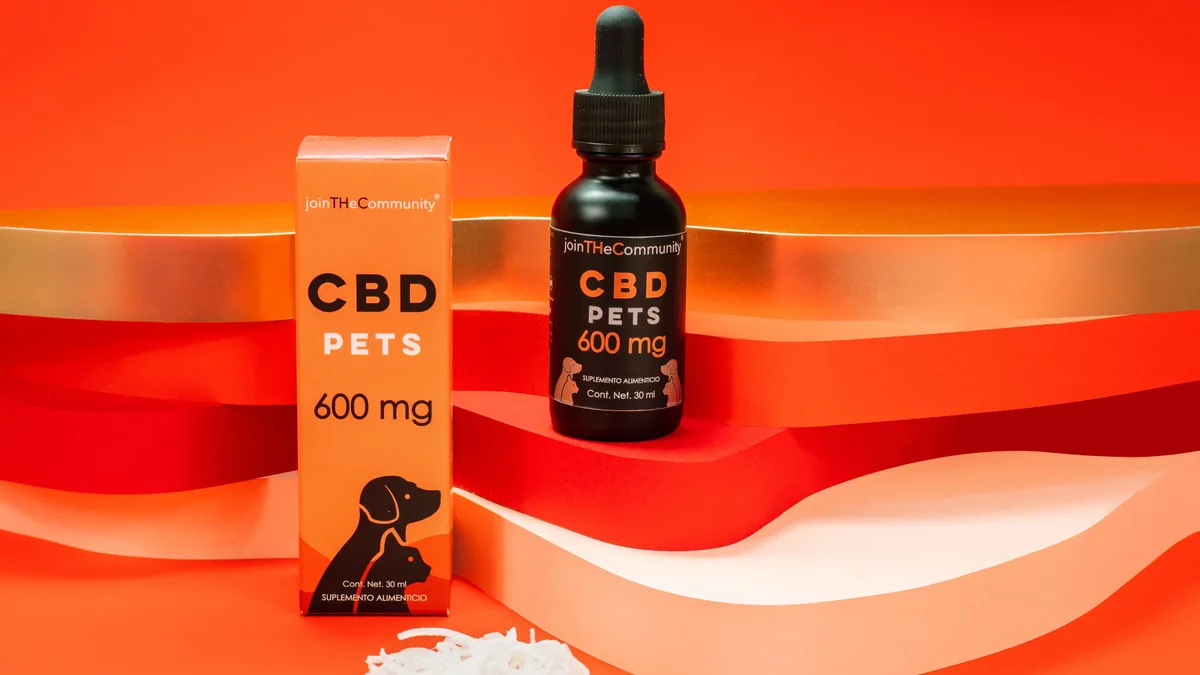Daily Life: Research suggests CBD may help dogs with osteoarthritis, but it should be part of a broader veterinary care plan