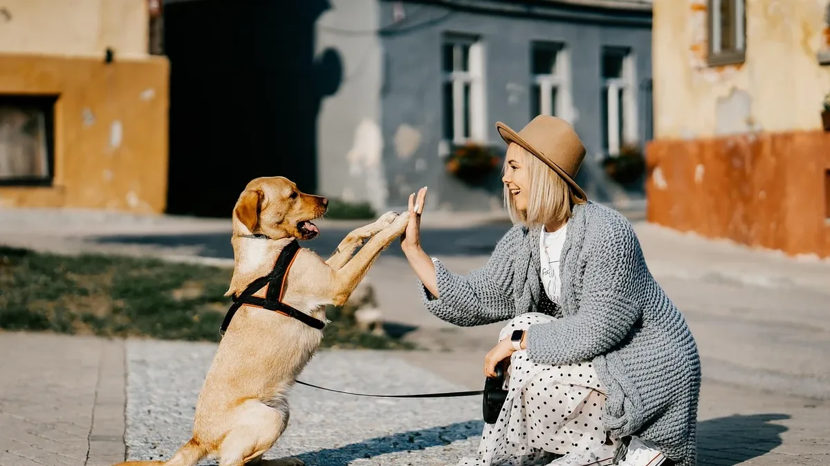 Exercise Enrichment: Girl, dog, pet, friendship, companion, owner.