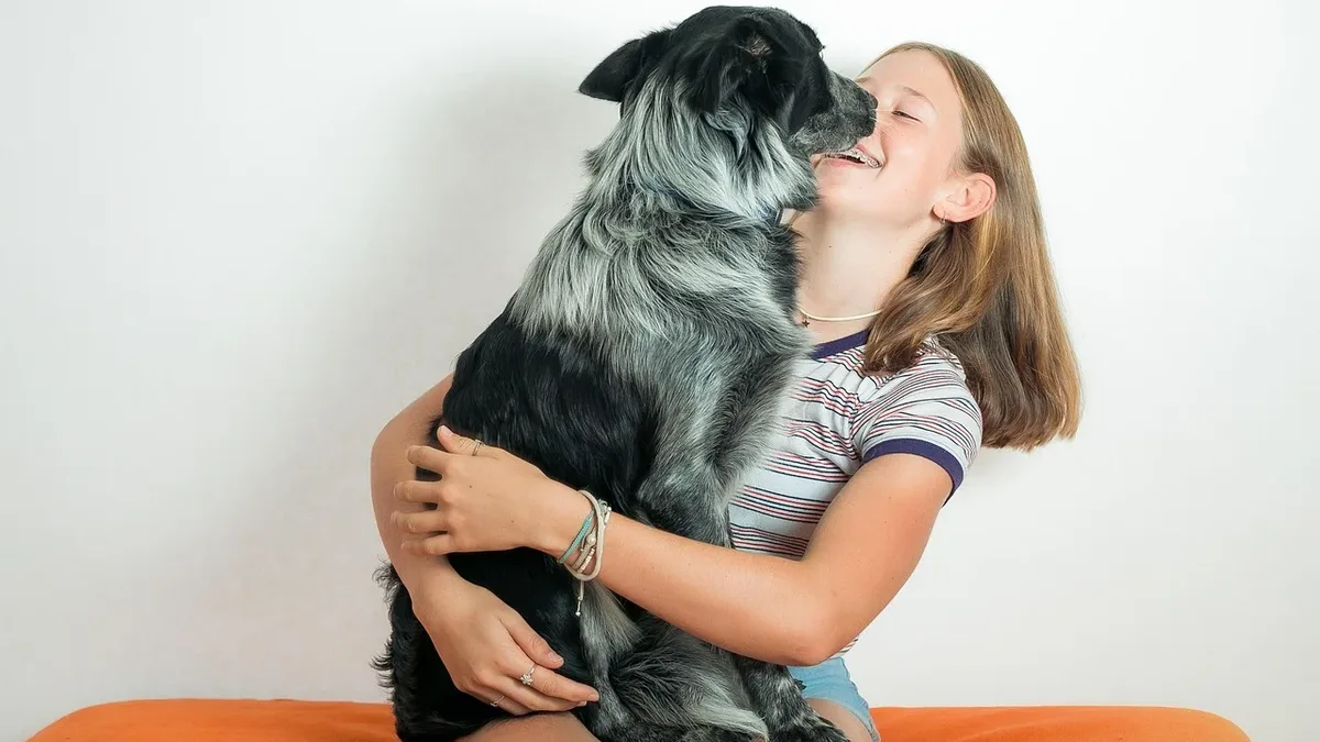 A video montage shows a young girl and her first dog, a Golden Retriever named Harlow, sharing everyday moments and...