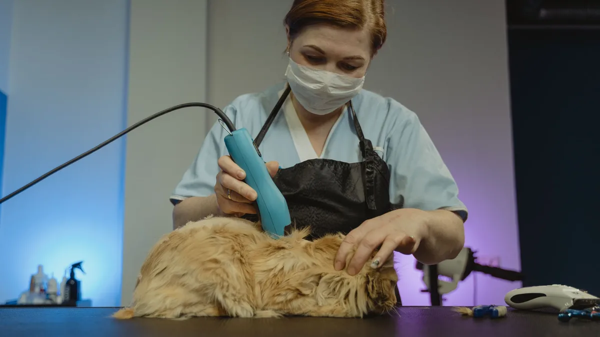 Daily Life: A dog groomer says home care between salon visits is key for a pet's health