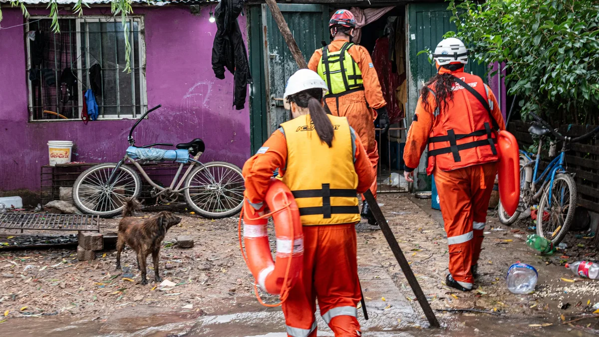 The Animal Protection League in Anderson, Indiana, evacuated over 300 animals, including 101 dogs, during severe August...