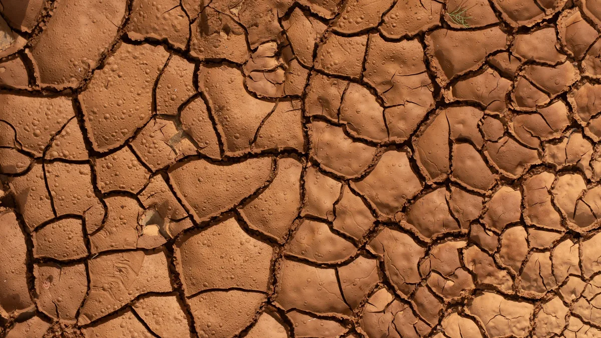 As climate disruption, resource depletion, and geopolitical fault lines converge, businesses are being forced to rethink...