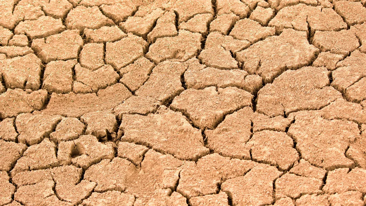 The annual UN climate conference has grown to tens of thousands of participants, but the fear of missing out (FOMO) may be...