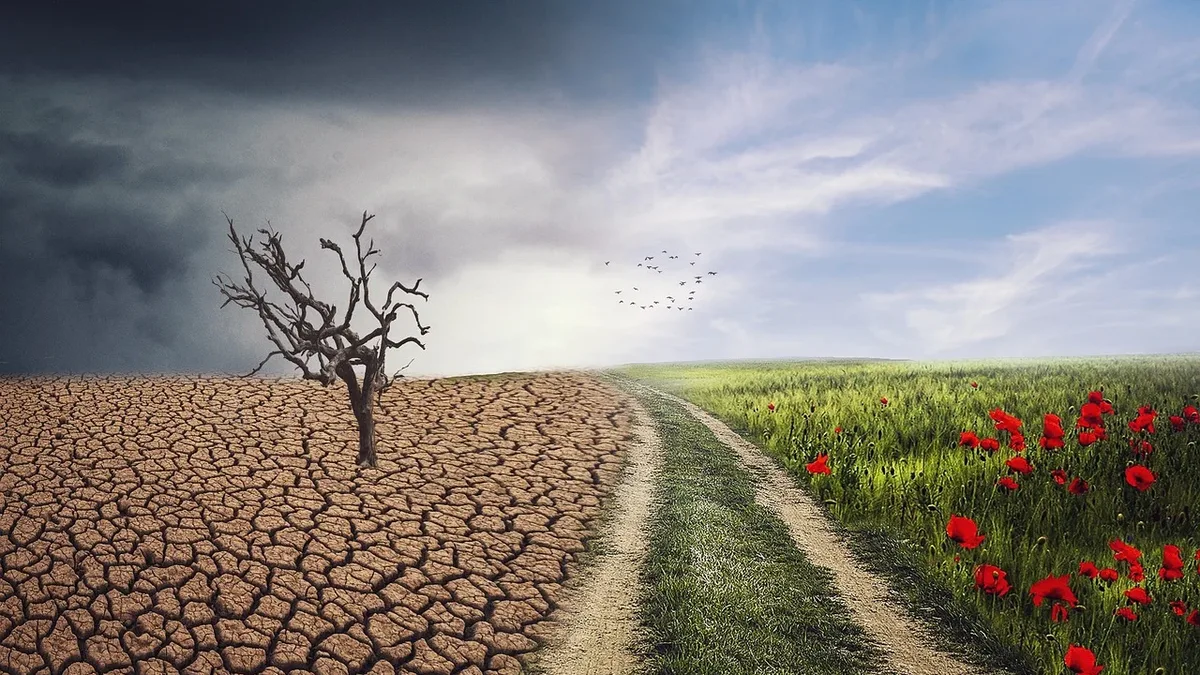 Heatwaves are becoming more intense and frequent due to climate change, affecting various sources of power generation...