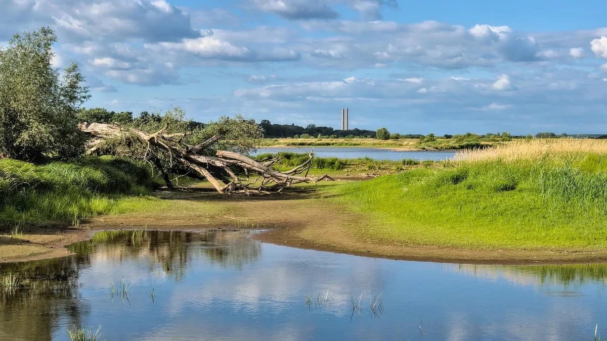 Emissions: Flow, low water, water, grass, drought, reflection.