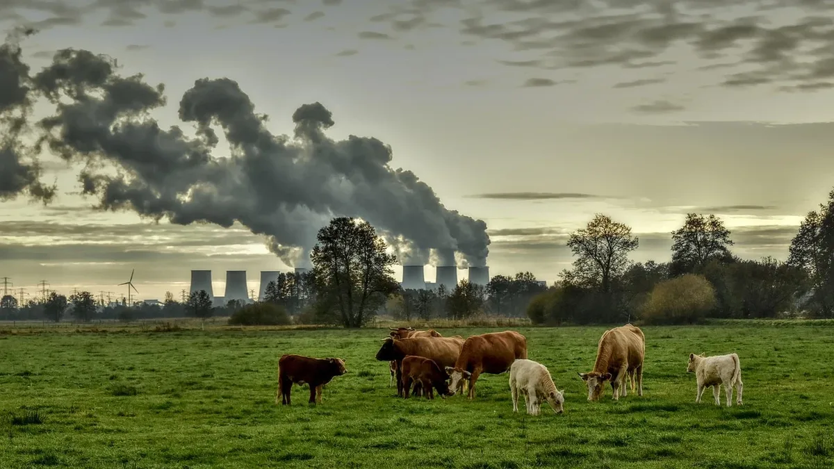 The UK dairy industry has updated its environmental roadmap, setting new science-based climate targets and packaging...