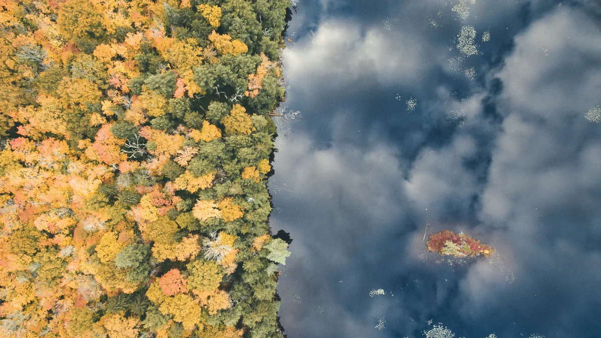 The Science: The US fall foliage forecast is out, with Northern states expected to have the best colors this year