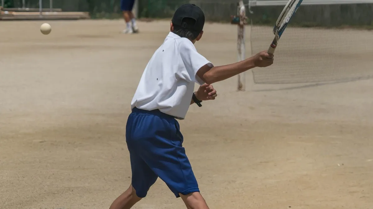 Tours: Japan, person, nature, people, tennis, tennis racket.