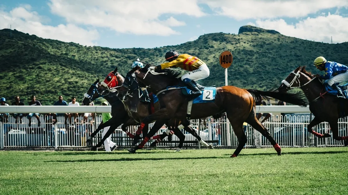 The August Stakes at Windsor headlines Sky Sports Racing's coverage, featuring Ghostwriter among nine runners, plus flat...
