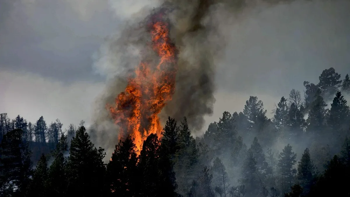 Australian fire authorities warn of elevated spring fire risk due to a strong El Nino, with below-average rainfall and...