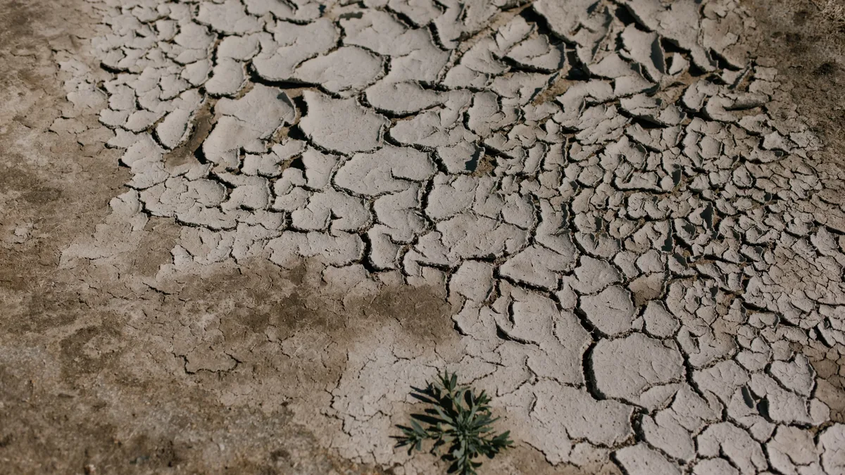 Dutch AgTech startup Gravity Gardens has secured a €2.6 million Seed round to scale its dry, chemical-free seed...
