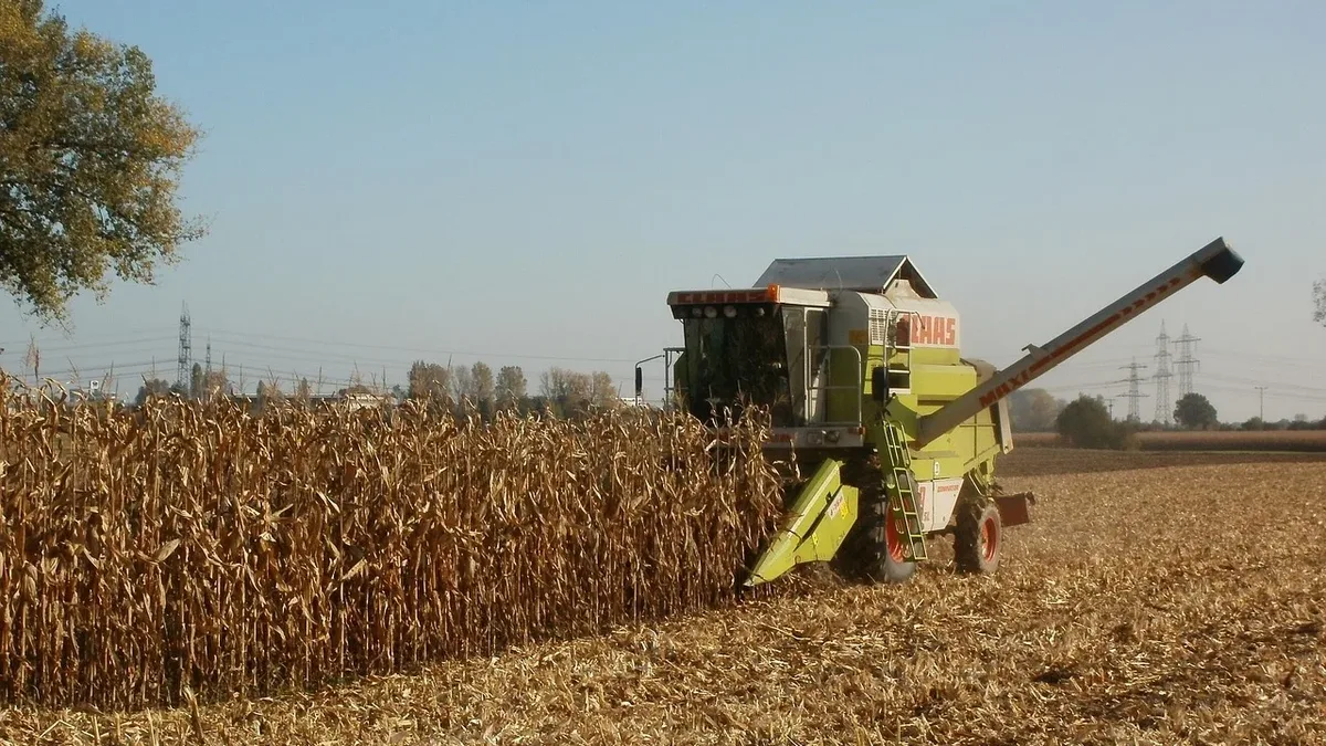 An opinion piece argues that Missouri agricultural scholarships should be expanded to include students who go directly to...