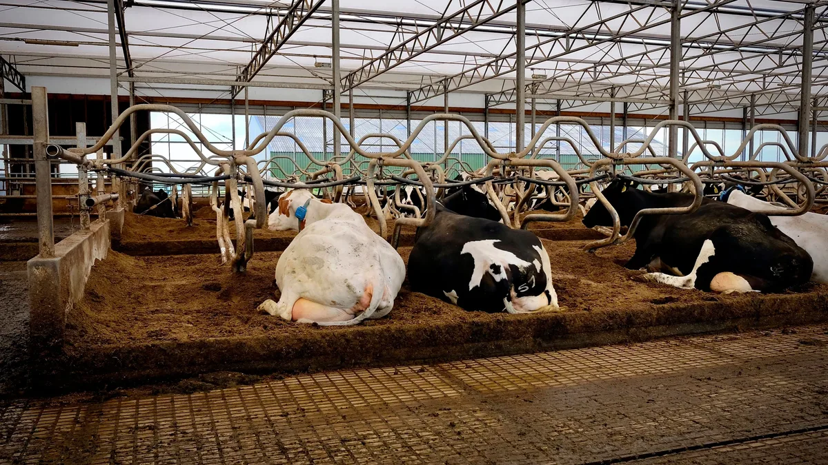 A California dairy farm's biogas-to-hydrogen project has received the lowest carbon-intensity rating in state history...