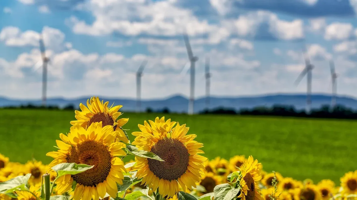 The Federal Energy Regulatory Commission has approved the Southwest Power Pool's proposal to use topology optimization to...