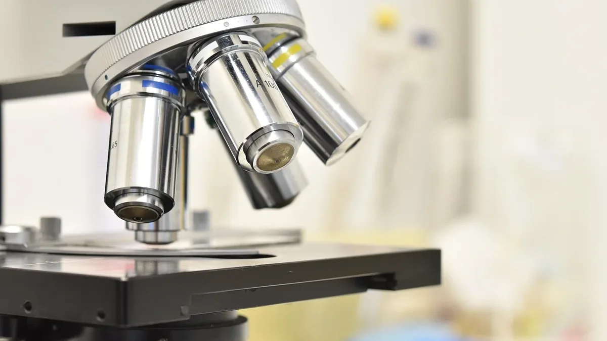 A new multiscale imaging method combining X-ray scattering and polarized light reveals how anisotropic nanoparticles...