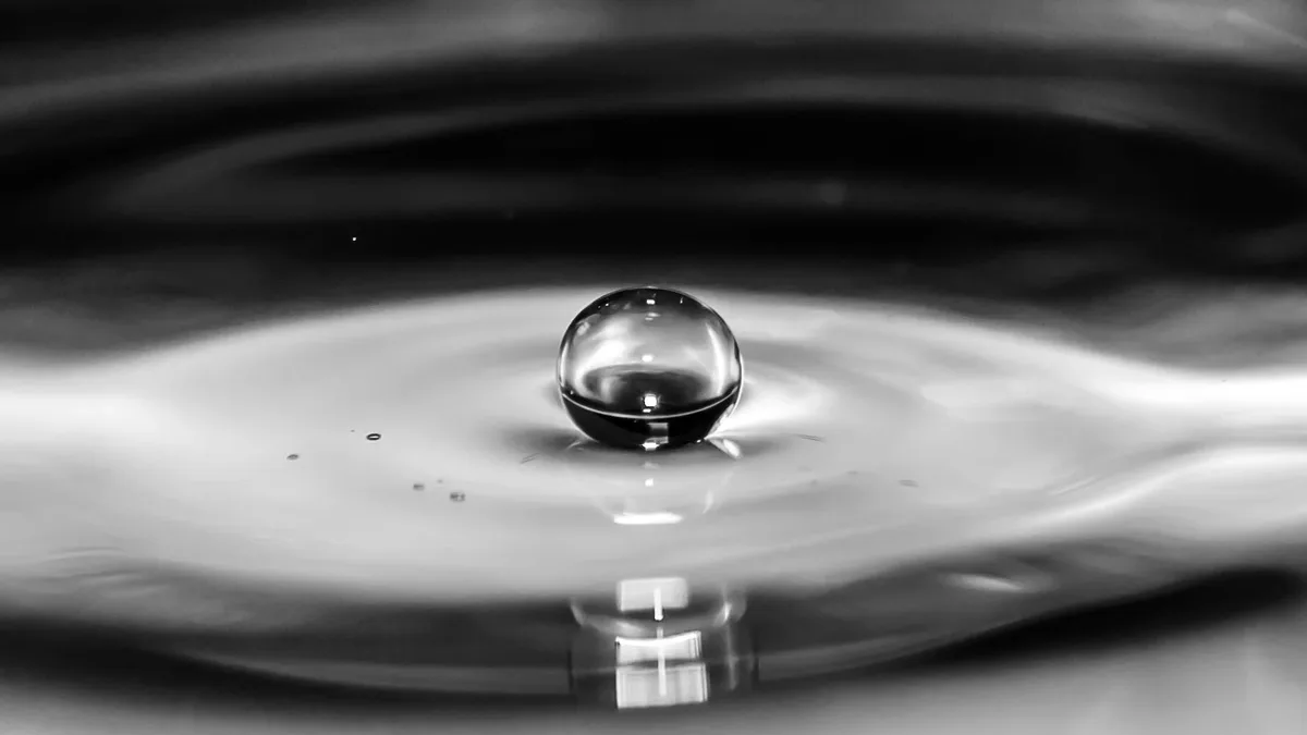 Fields: Black and white macro shot capturing a water droplet mid-splash.
