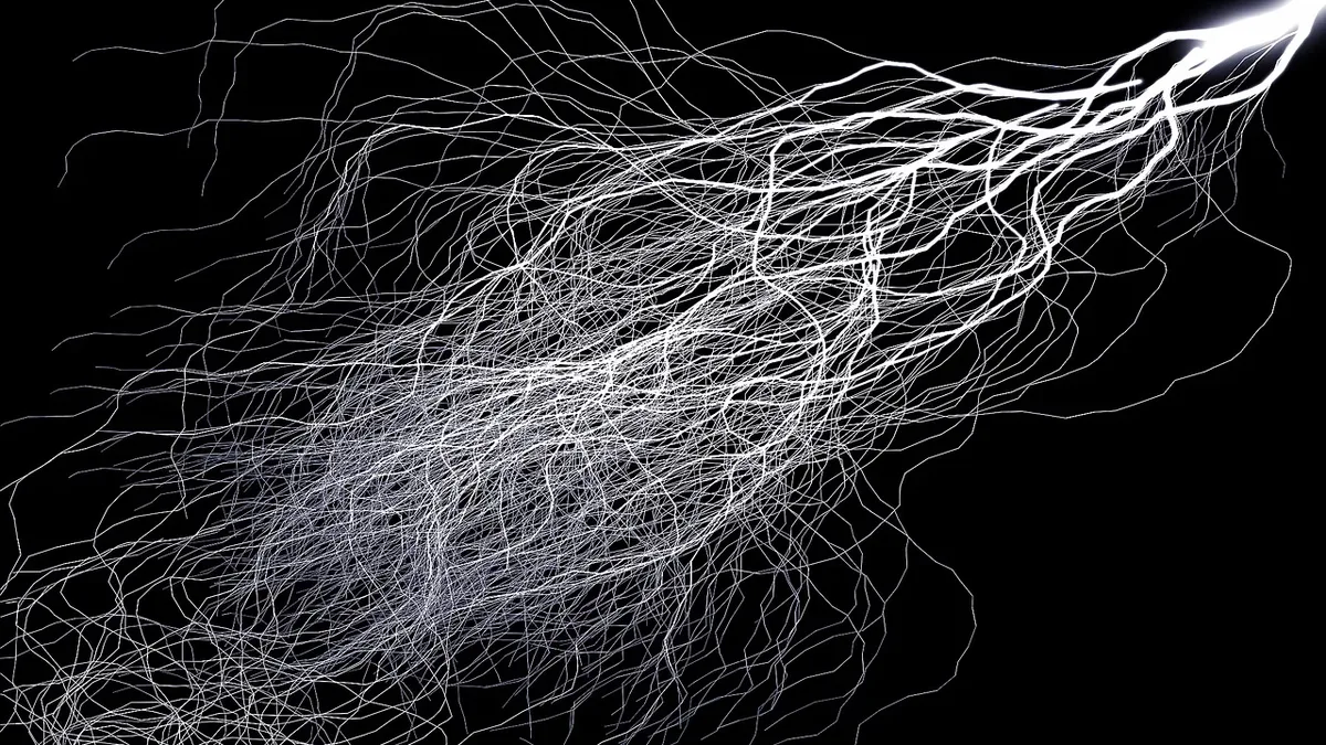 Harvard biologists have identified molecular signals that allow different types of neurons to control how their wiring is...