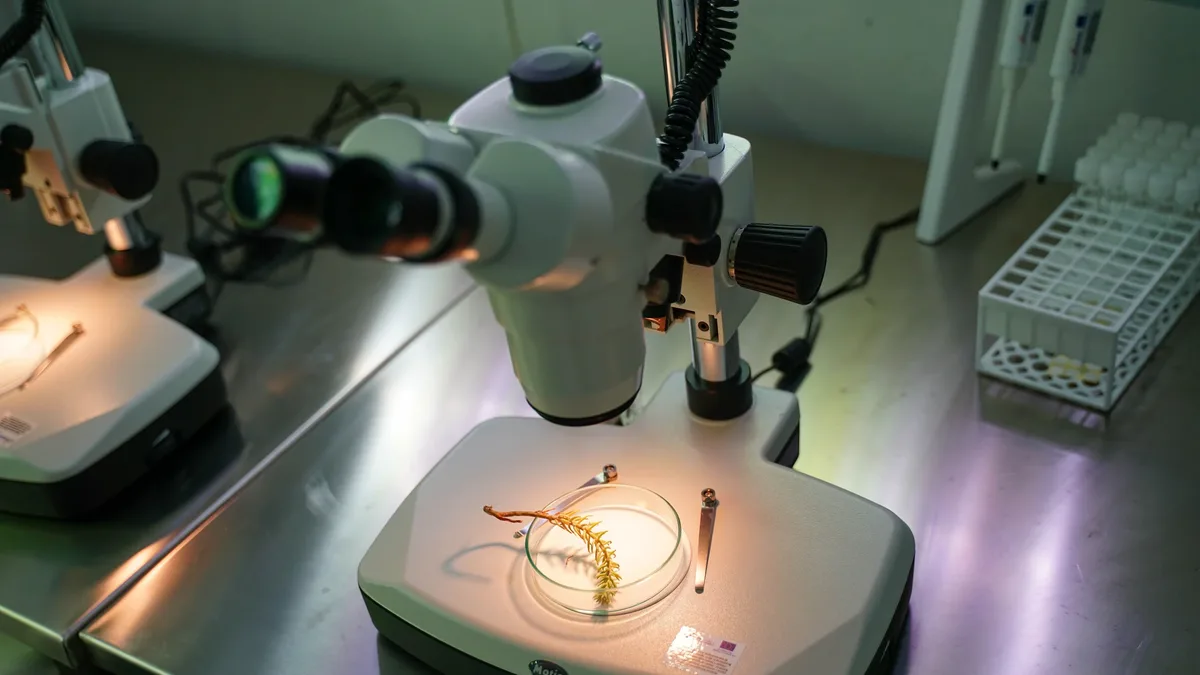Abolis Biotechnologies has launched the Microbial Intelligence Explorer (MINE) platform, designed to help R&D teams...
