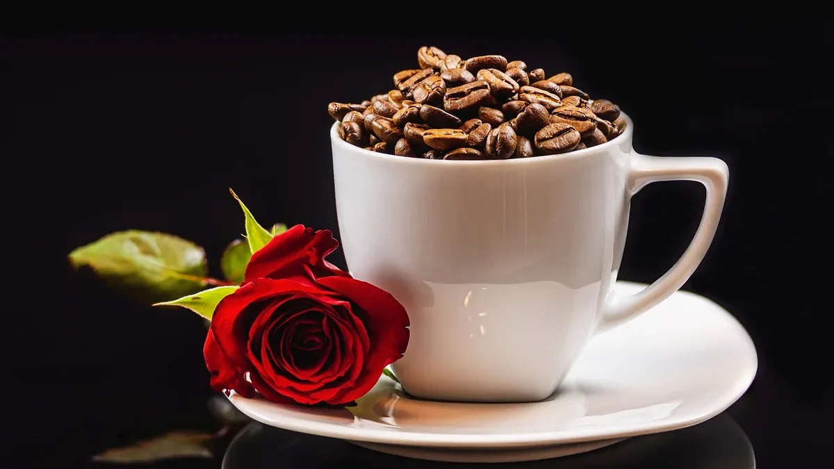 Perfumers: Coffee pot, coffee beans, rose, coffee, cup, caffeine.