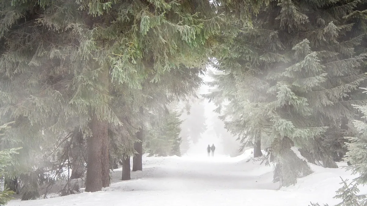 Hikers on Vermont's Long Trail abandoned the main route due to a storm, using a safer descent suggested by Sugarbush...