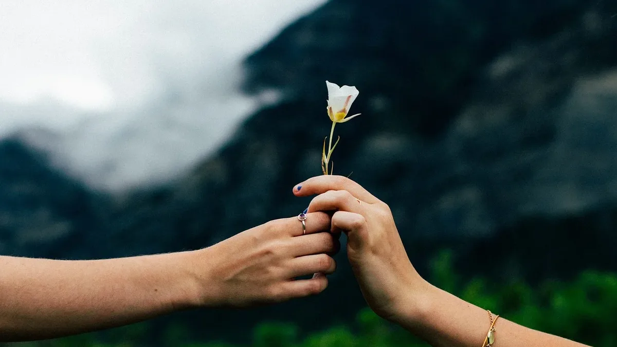 Endings: Two separate stories explore core relationship dynamics: one examines why teenagers take risks