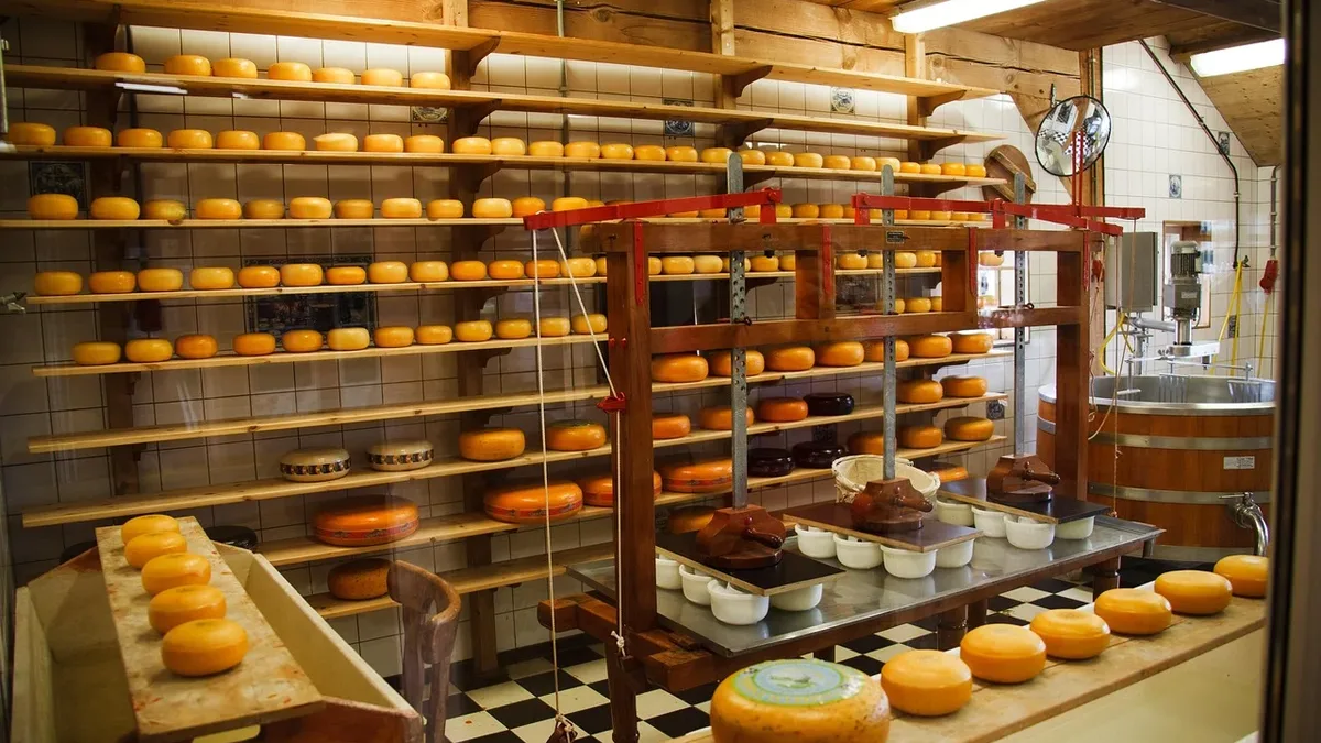 Drinks: A room filled with rows of cheese wheels on wooden shelves, a large metal table with various items on it, and a