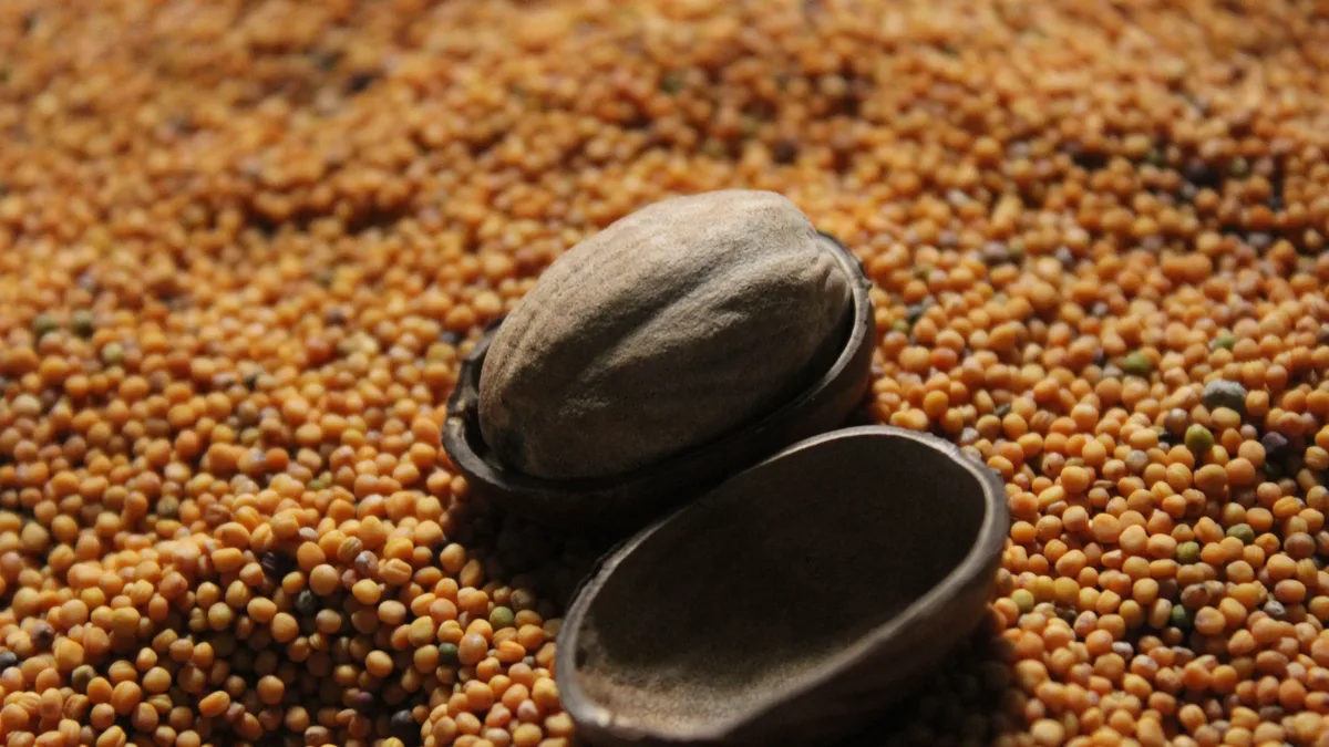 The Biotech Open Platform (BIOP), a €20 million shared fermentation facility backed by Danone and Michelin, has opened in...