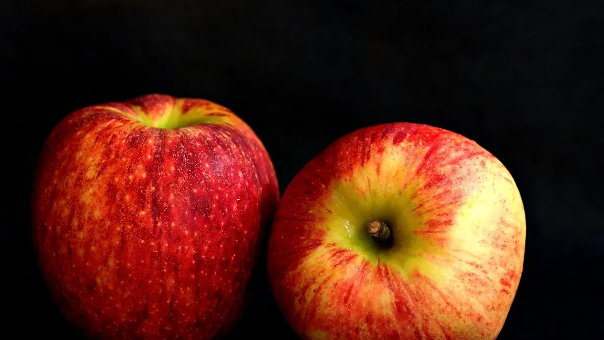 The Canadian Food Innovation Network (CFIN) highlights a significant shift in foodtech funding, with capital increasingly...
