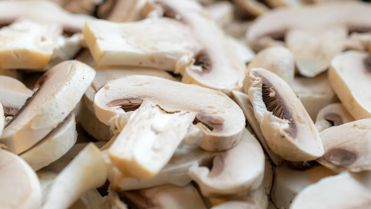 Mushroom Squared is pivoting from plant-based meat to develop minimally processed, functional protein products centered...