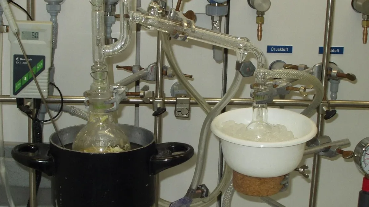 UK fermentation firm Mycofeast has acquired New Zealand startup Daisy Lab, gaining its precision-fermentation technology...