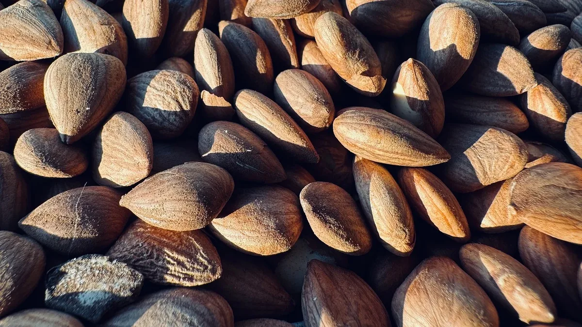 Chilean food tech firm NotCo has sold its Brazilian business to investment group Ferrara and reportedly closed its...
